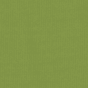 Brightside Apple 2750-A
