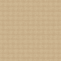 Coastline Amber 2701-B